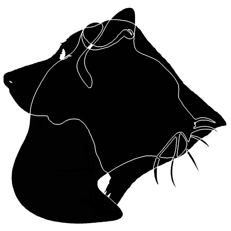 Futtermenge berechnen – einfach und bedarfsgerecht